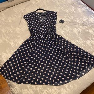 Beautiful Kate and Lily NWT Polka Dot sheer dress Size 14